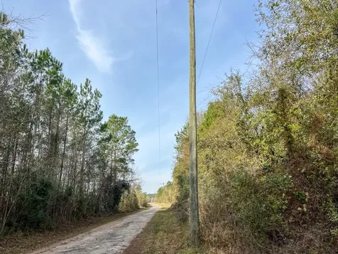 10 Fm 787 Saratoga TX 77585