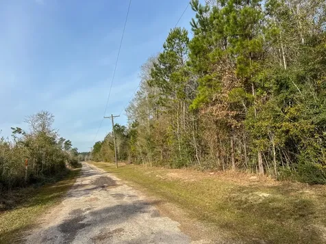 10 Fm 787 Saratoga TX 77585