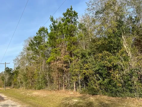 10 Fm 787 Saratoga TX 77585