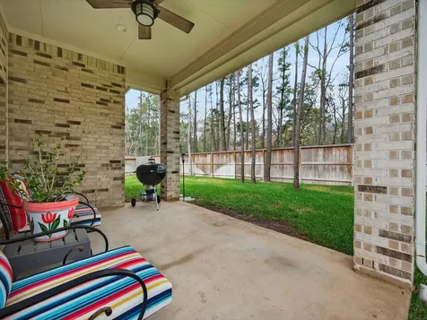 316 Mullins Court Montgomery TX 77316