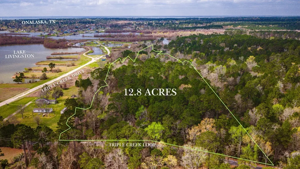 160 Triple Creek Drive Livingston TX 77351