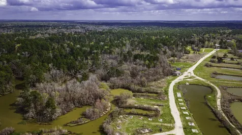 160 Triple Creek Drive Livingston TX 77351