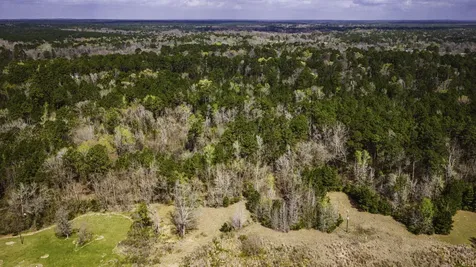 160 Triple Creek Drive Livingston TX 77351