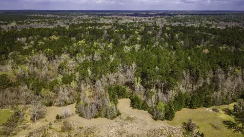 160 Triple Creek Drive Livingston TX 77351