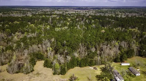 160 Triple Creek Drive Livingston TX 77351