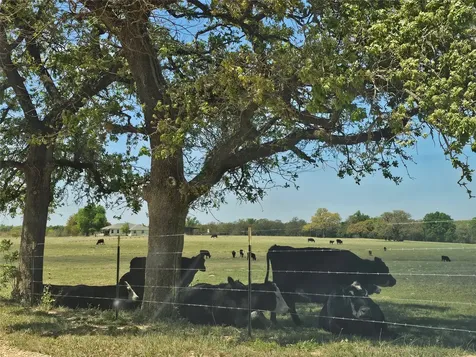 404 County Road 374 Milano TX 76556