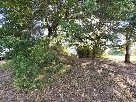 14536 Cochran Road Waller TX 77484