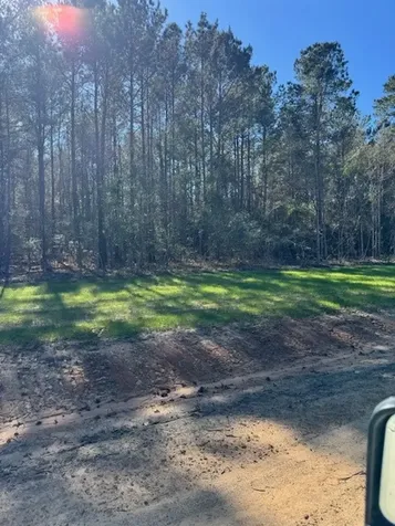 Tbd Redhead Road Livingston TX 77351