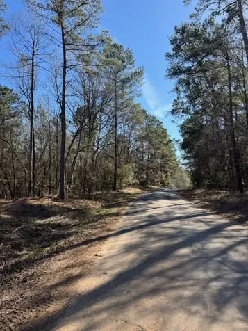 Tbd Redhead Road Livingston TX 77351