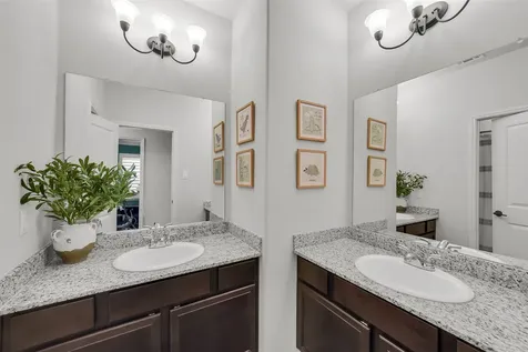 7031 Coneflower Creek Court Katy TX 77493