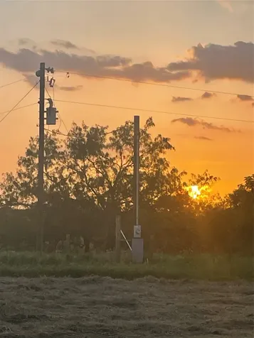 51359 Highway 290 Highway Hempstead TX 77445