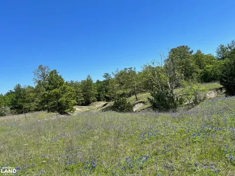 R13945 A0049j Peterson Tract 50 Acres Anderson TX 77830