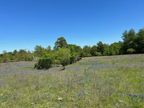 R13945 A0049j Peterson Tract 50 Acres Anderson TX 77830
