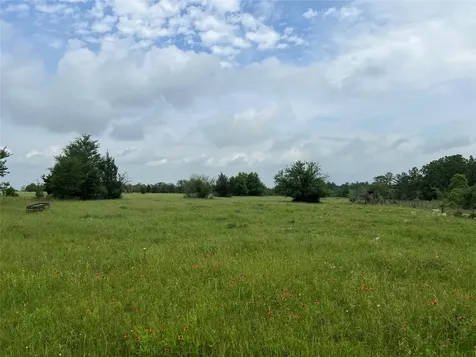 R13945 A0049j Peterson Tract 50 Acres Anderson TX 77830