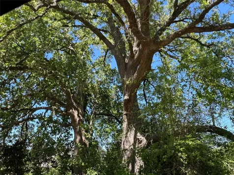 R13945 A0049j Peterson Tract 50 Acres Anderson TX 77830