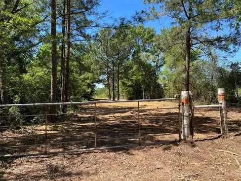 R13945 A0049j Peterson Tract 50 Acres Anderson TX 77830