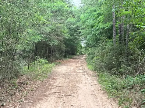 R13945 A0049j Peterson Tract 50 Acres Anderson TX 77830
