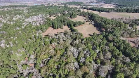R13945 A0049j Peterson Tract 50 Acres Anderson TX 77830