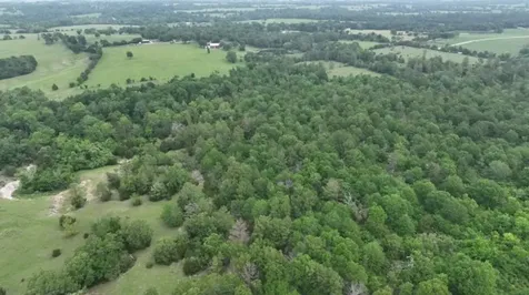 R13945 A0049j Peterson Tract 50 Acres Anderson TX 77830