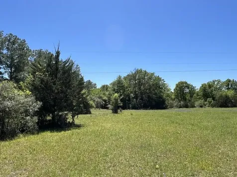 R13945 A0049j Peterson Tract 50 Acres Anderson TX 77830