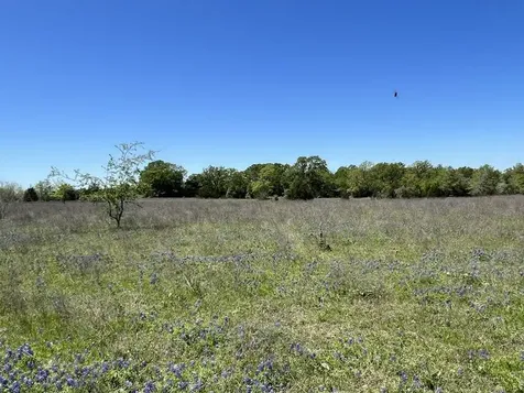 R13945 A0049j Peterson Tract 50 Acres Anderson TX 77830