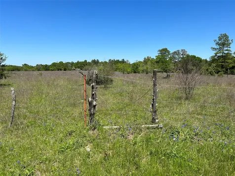R13945 A0049j Peterson Tract 50 Acres Anderson TX 77830