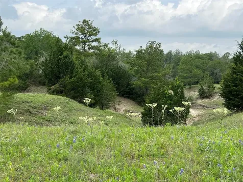 R13945 A0049j Peterson Tract 50 Acres Anderson TX 77830