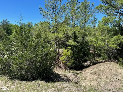 R13945 A0049j Peterson Tract 50 Acres Anderson TX 77830