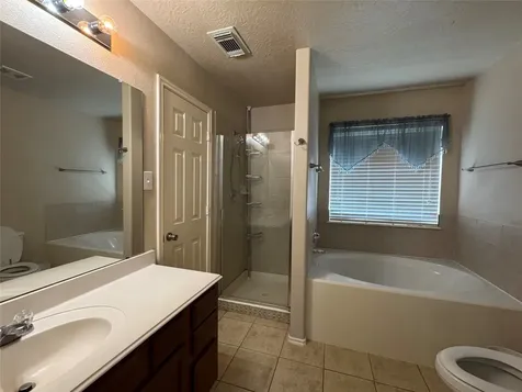 10738 Plum Dale Way Houston TX 77034