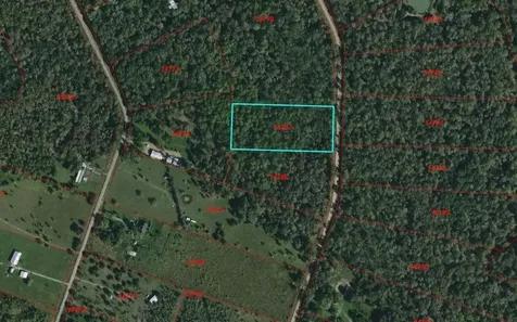 0 Baldwin Drive Hungerford TX 77448