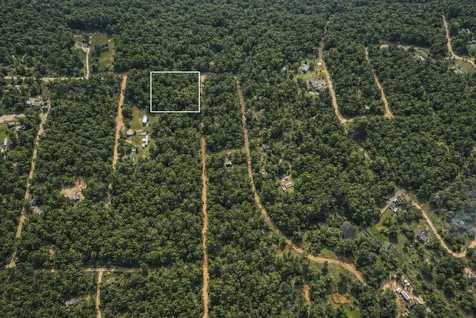 00 Glenn Campbell Road Livingston TX 77351