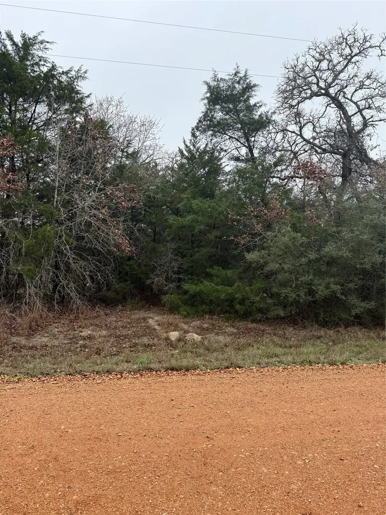 0 Coyote Run Lane Carmine TX 78932