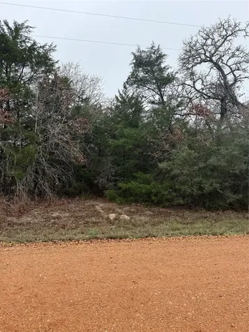 0 Coyote Run Lane Carmine TX 78932