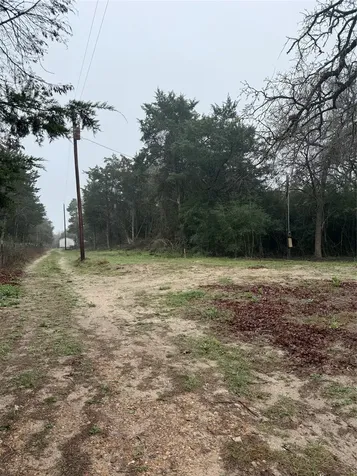 0 Coyote Run Lane Carmine TX 78932