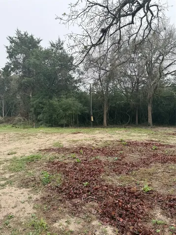 0 Coyote Run Lane Carmine TX 78932
