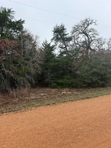 0 Coyote Run Lane Carmine TX 78932