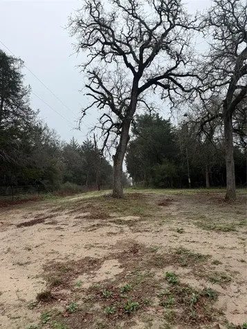 0 Coyote Run Lane Carmine TX 78932