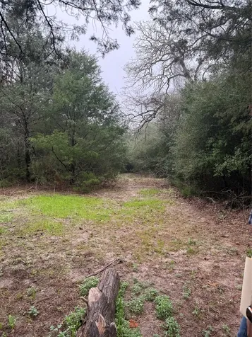 0 Coyote Run Lane Carmine TX 78932
