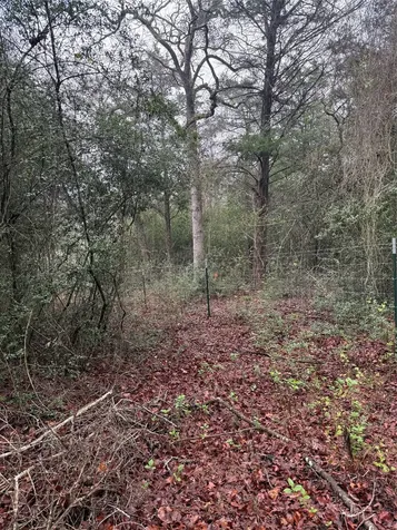 0 Coyote Run Lane Carmine TX 78932