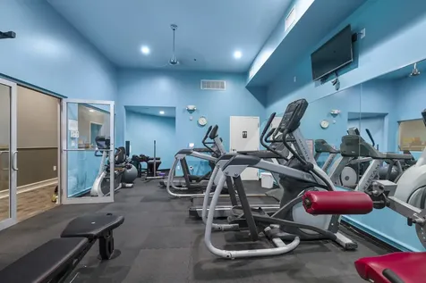 3311 Yupon Street 317 Houston TX 77006