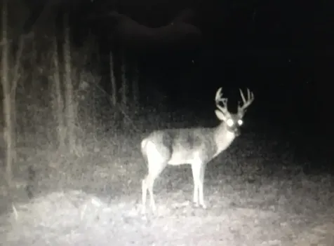 0 E Marion Ab 720 18 22 Ac Kennard TX 75847