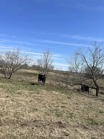 100 Highway 97 J243 Tract 4 Jourdanton TX 78026