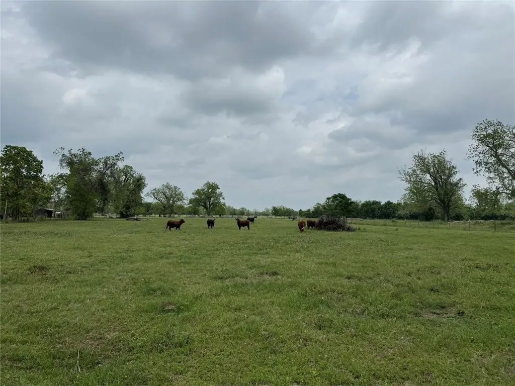 0 E Alabama Street Wharton TX 77488