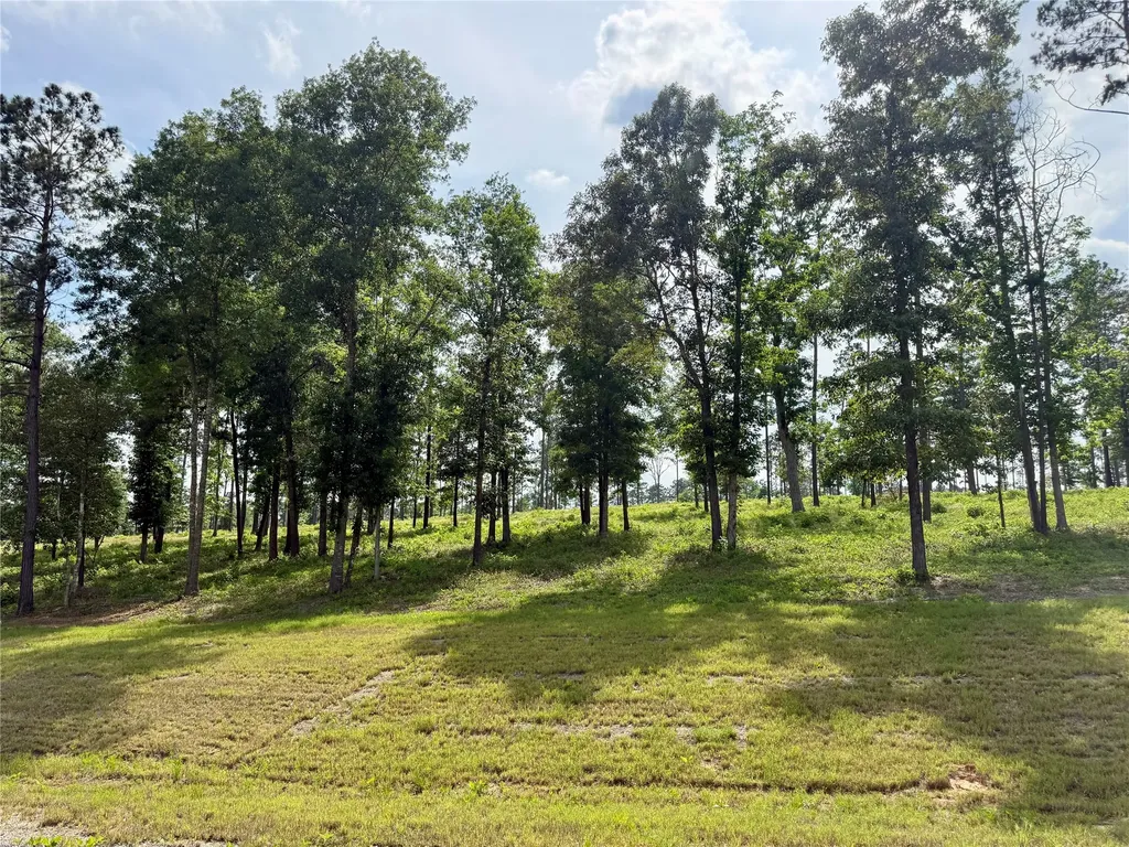 Lot 72 Western Road Livingston TX 77351