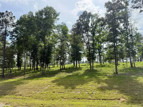 Lot 72 Western Road Livingston TX 77351