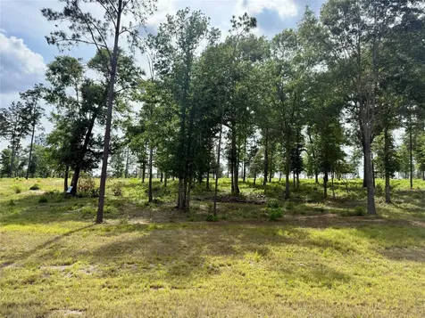 Lot 72 Western Road Livingston TX 77351