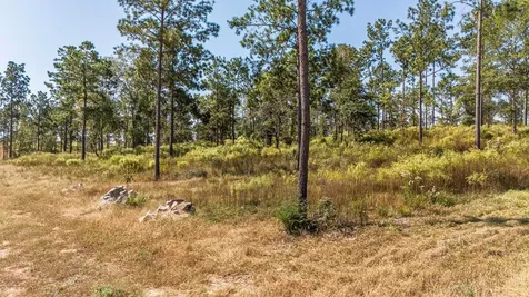 Lot 72 Western Road Livingston TX 77351