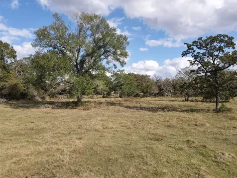 17.9 Ac Tbd Highway 290 Bus Hempstead TX 77445