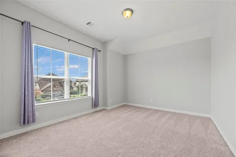 24122 Cannon Anello Court Katy TX 77493