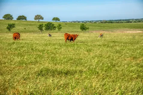5005 Fuchs Road - Lot 6 Burton TX 77835